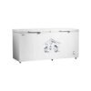 Hisense 660L Double Door Chest Freezer, FC-66DT4SA
