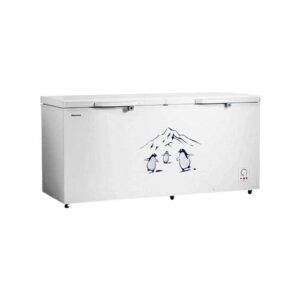 Hisense 660L Double Door Chest Freezer, FC-66DT4SA